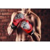 DEFY® Boxing Gloves Leather Punch Training Kickboxing MMA Fight UFC Red Skull